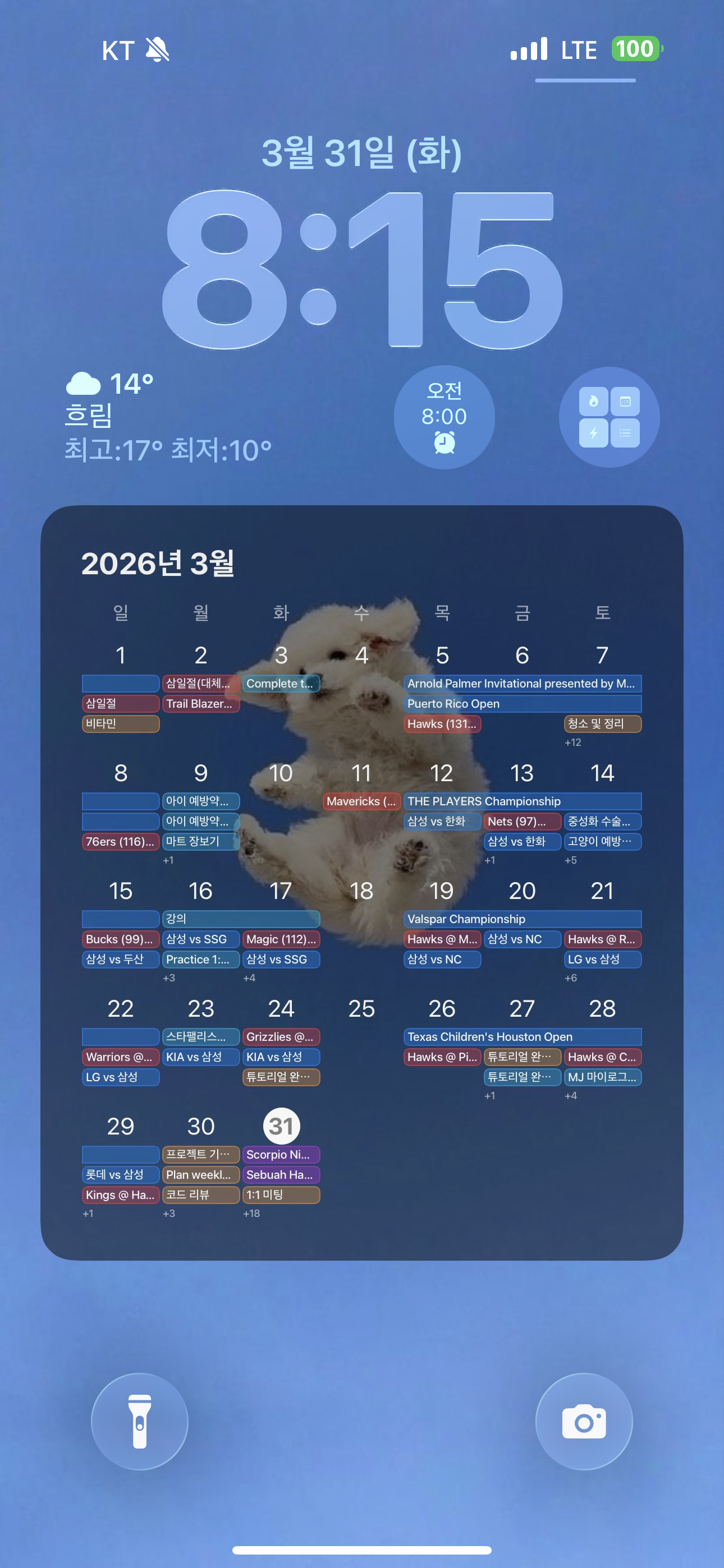 설정 완료 후 배경화면 3